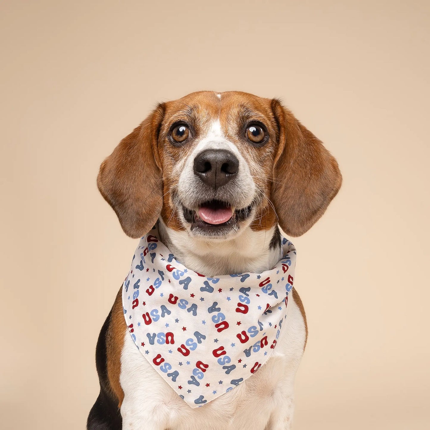 Premium Cotton Fourth of July Pet Bandanas - Slide-On Collar Design - Washable and Reusable