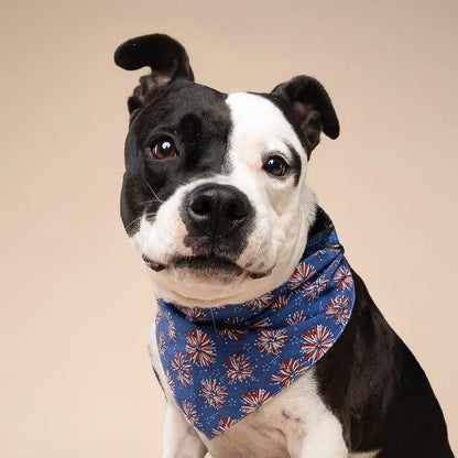 Premium Cotton Fourth of July Pet Bandanas - Slide-On Collar Design - Washable and Reusable