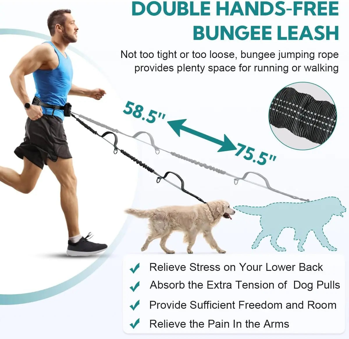 Pipidodo Hands-Free Dual Dog Leash with Waist Bag and Cushioned Pad for Effortless, Tangle-Free Walks with Two Dogs
